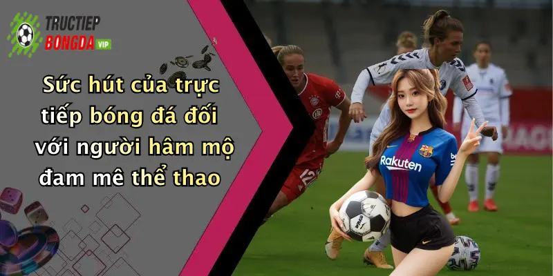 Sức hút của trực tiếp bóng đá đối với người hâm mộ đam mê thể thao